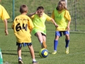17799_pic