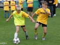 372415_pic