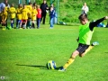 393591_pic