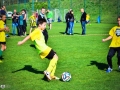 5670082_pic