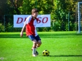 6517588_pic