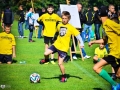 78420_pic