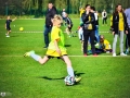 99536_pic