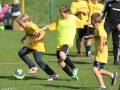Kopiuj  z 6329590_pic